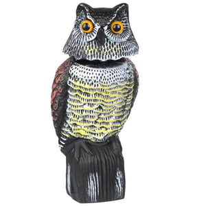 Realistic Owl Decoy