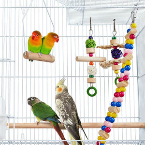  Parrot Cage