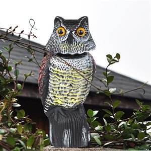 Realistic Owl Decoy